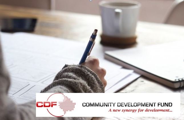 Strengthening Local Government capacities and Increasing Citizens participation